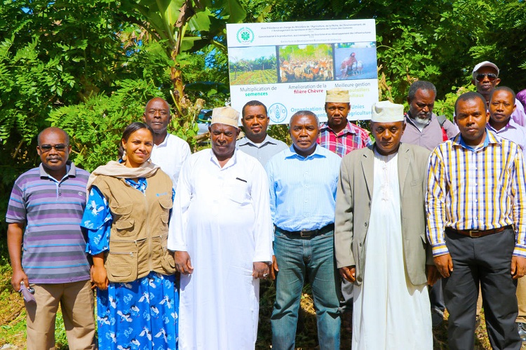 image Agriculture  / La FAO à la rescousse du CRDE de Simboussa-Mbadjini